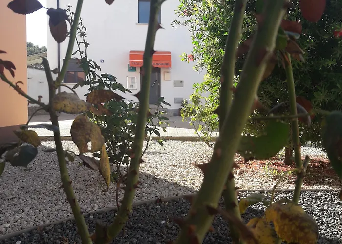 ゲストハウス Matarrana